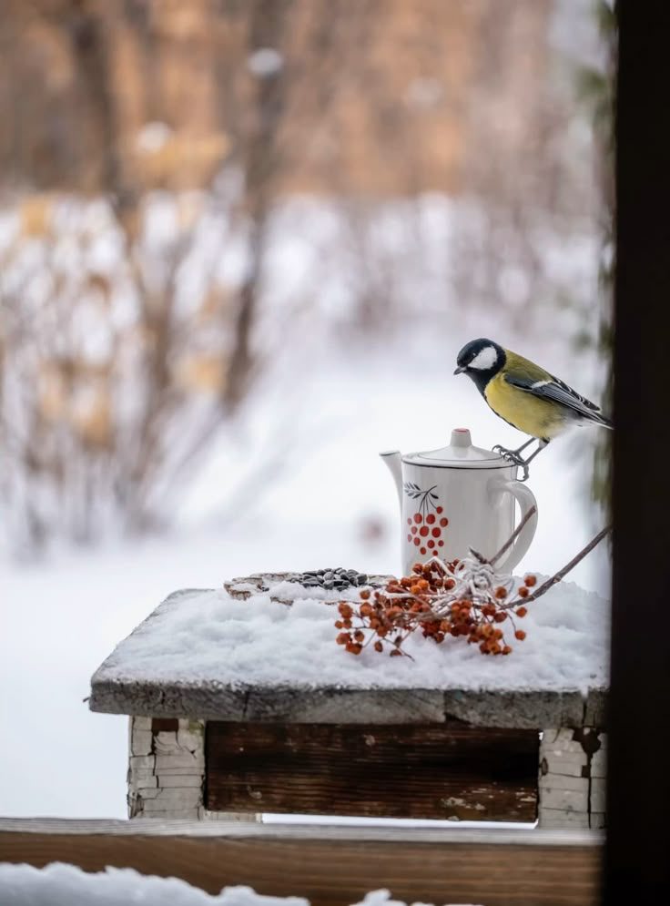 Vogelhaus mit Kohlmeise